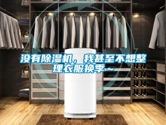 行業新聞沒有除濕機，我甚至不想整理衣服換季～