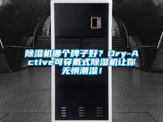 行業(yè)新聞除濕機哪個牌子好？Dry-Active可穿戴式除濕機讓你無懼潮濕！