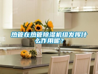 行業新聞熱管在熱管除濕機組發揮什么作用呢？