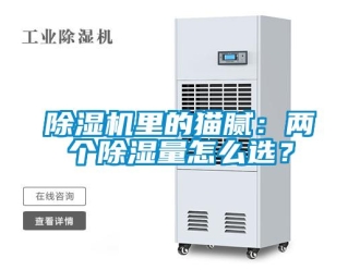 常見問題除濕機(jī)里的貓膩：兩個除濕量怎么選？