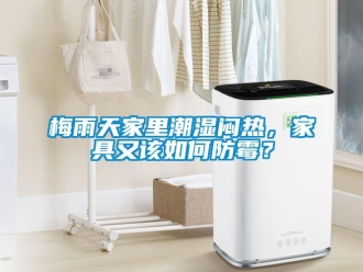 常見問題梅雨天家里潮濕悶熱，家具又該如何防霉？
