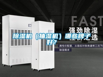 企業新聞除濕機（抽濕機）哪些牌子好？