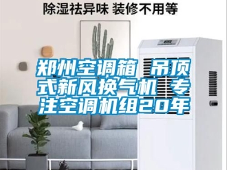 企業新聞鄭州空調箱 吊頂式新風換氣機 專注空調機組20年