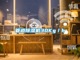 行業新聞管道除濕機30Kg／h