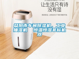 常見問題益陽市車間除濕機，工業抽濕機  恒溫恒濕非標機器