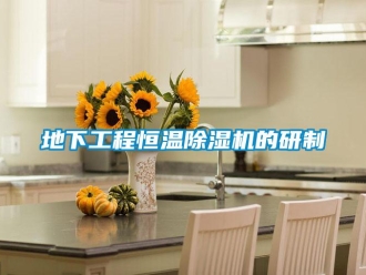 企業新聞地下工程恒溫除濕機的研制