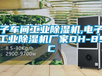 企業新聞電子車間工業除濕機,電子車間工業除濕機廠家DH-890C