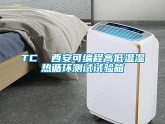 常見問題TC  西安可編程高低溫濕熱循環測試試驗箱