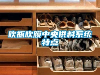 企業新聞吹瓶吹膜中央供料系統特點