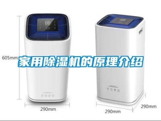 常見問題家用除濕機的原理介紹