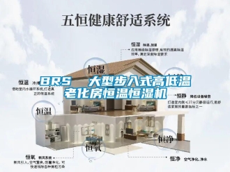 常見問題BRS  大型步入式高低溫老化房恒溫恒濕機