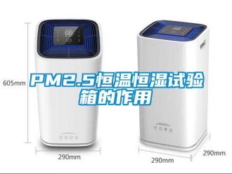 常見問題PM2.5恒溫恒濕試驗(yàn)箱的作用