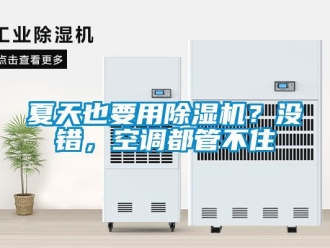 行業新聞夏天也要用除濕機？沒錯，空調都管不住