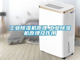 常見問題工業除濕機原理,工業除濕機原理及作用