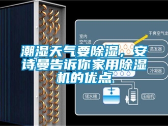 企業新聞潮濕天氣要除濕，安詩曼告訴你家用除濕機的優點