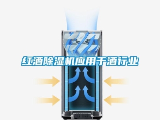 行業(yè)新聞紅酒除濕機應(yīng)用于酒行業(yè)