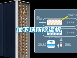 行業(yè)新聞地下場所除濕機