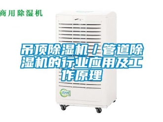 企業新聞吊頂除濕機／管道除濕機的行業應用及工作原理