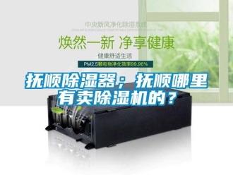 行業(yè)新聞?chuàng)犴槼凉衿鳎粨犴樐睦镉匈u除濕機的？