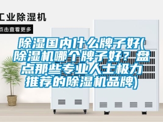 企業(yè)新聞除濕國(guó)內(nèi)什么牌子好(除濕機(jī)哪個(gè)牌子好？盤點(diǎn)那些專業(yè)人士極力推薦的除濕機(jī)品牌)