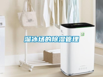 行業(yè)新聞溜冰場的除濕管理