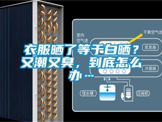 常見(jiàn)問(wèn)題衣服曬了等于白曬？又潮又臭，到底怎么辦…
