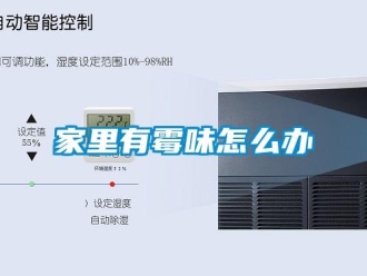 常見問題家里有霉味怎么辦