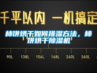 行業(yè)新聞柿餅烘干如何排濕方法，柿餅烘干除濕機