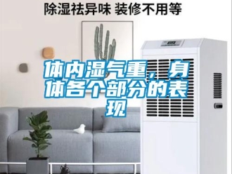 知識百科體內濕氣重，身體各個部分的表現