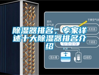 行業(yè)新聞除濕器排名，專家詳述十大除濕器排名介紹