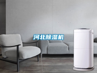 行業(yè)新聞河北除濕機(jī)