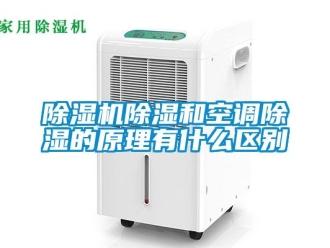 企業新聞除濕機除濕和空調除濕的原理有什么區別