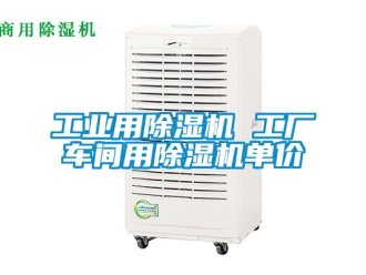 常見問題工業用除濕機 工廠車間用除濕機單價