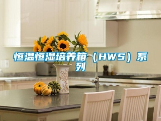 知識(shí)百科恒溫恒濕培養(yǎng)箱（HWS）系列