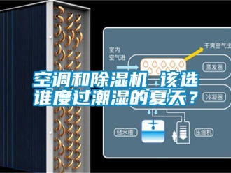 行業(yè)新聞空調(diào)和除濕機 該選誰度過潮濕的夏天？