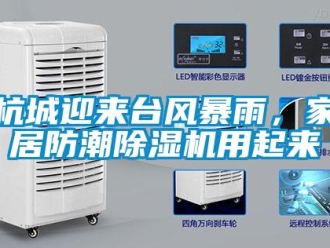 行業(yè)新聞杭城迎來臺風(fēng)暴雨，家居防潮除濕機(jī)用起來