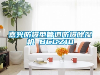 企業新聞嘉興防爆型管道防爆除濕機 BCGZ10