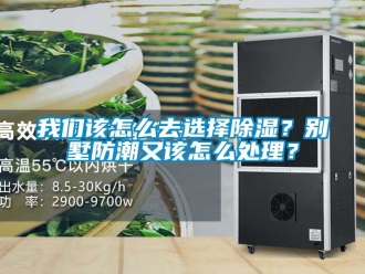 常見(jiàn)問(wèn)題我們?cè)撛趺慈ミx擇除濕？別墅防潮又該怎么處理？