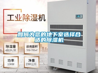 常見問題如何為您的地下室選擇合適的除濕機