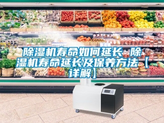 行業新聞除濕機壽命如何延長 除濕機壽命延長及保養方法【詳解】