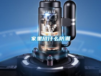 行業(yè)新聞家里放什么防潮