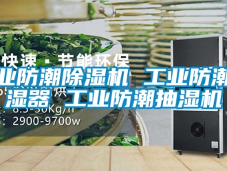 常見問題工業防潮除濕機 工業防潮除濕器 工業防潮抽濕機