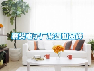 企業新聞襄樊電子廠除濕機品牌