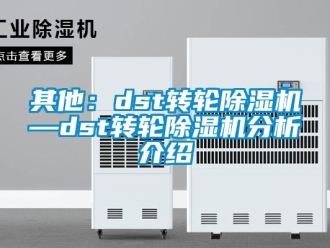 常見問題其他：dst轉輪除濕機—dst轉輪除濕機分析介紹