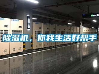 常見問題除濕機，你我生活好幫手