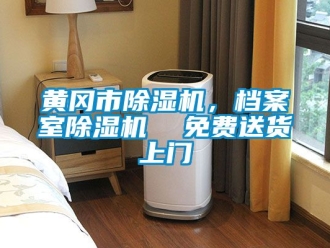 行業新聞黃岡市除濕機，檔案室除濕機  免費送貨上門