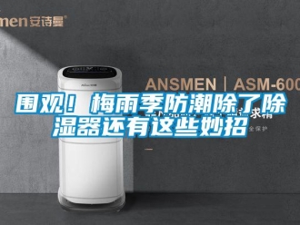 行業新聞圍觀！梅雨季防潮除了除濕器還有這些妙招