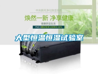 知識百科大型恒溫恒濕試驗室