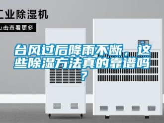 企業新聞臺風過后降雨不斷，這些除濕方法真的靠譜嗎？