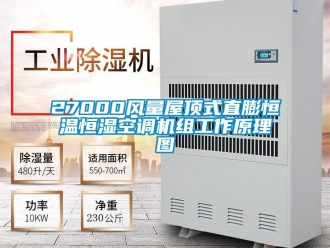 常見問題27000風量屋頂式直膨恒溫恒濕空調機組工作原理圖